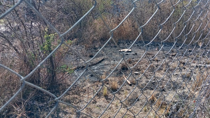 Quemas vecinales ponen en peligro a familias de colonia Satélite de Morelia; falta de agua agrava la crisis 