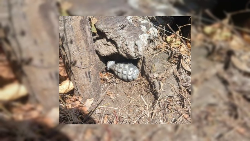 Frustran bombazos en Tierra Caliente: Desactivan 12 explosivos y desmantelan campamento criminal en Buenavista, Michoacán 