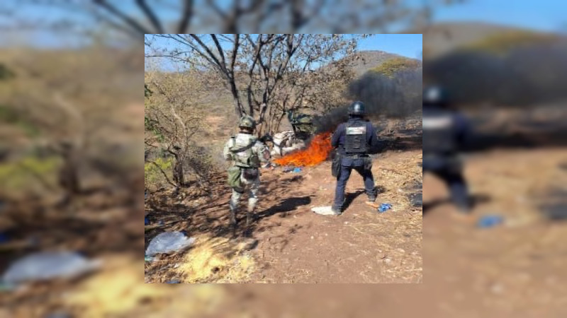 Frustran bombazos en Tierra Caliente: Desactivan 12 explosivos y desmantelan campamento criminal en Buenavista, Michoacán 