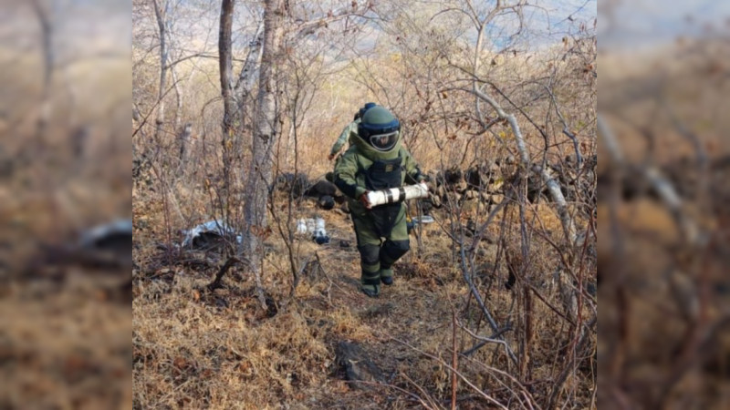 Frustran bombazos en Tierra Caliente: Desactivan 12 explosivos y desmantelan campamento criminal en Buenavista, Michoacán 