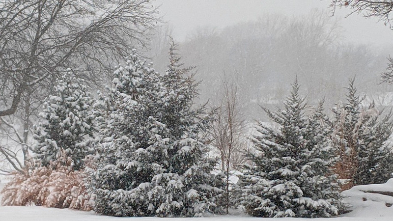 Tormenta de nieve paraliza el noreste de EEUU; cancelan miles de vuelos 