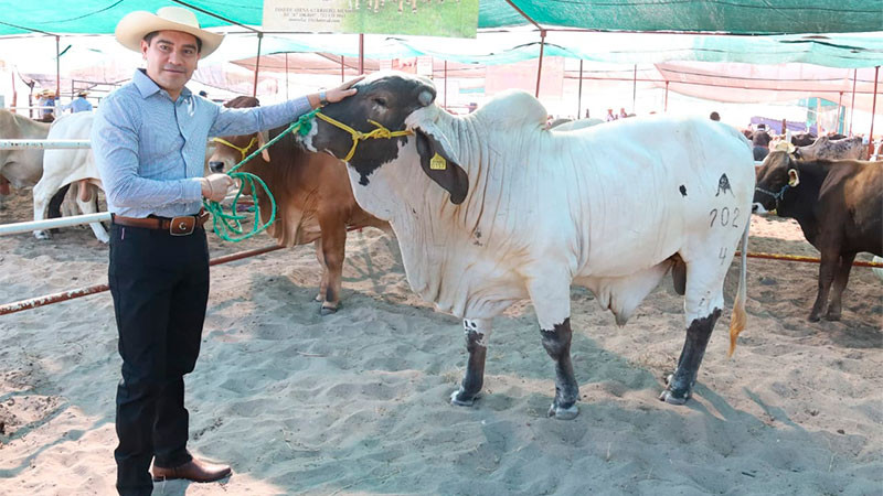 En la Expo Huetamo 2025 Pablo Varona rifa semental para ganaderos  