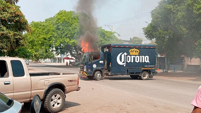 A 19 años del Operativo Conjunto Michoacán, no se logran desmantelar organizaciones criminales: OSHRA 