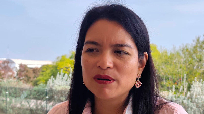 Hogares indígenas sufren maltrato; usos y costumbres perpetúan la impunidad: Eréndira Isauro 