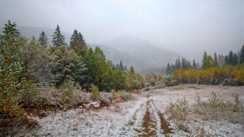 Se esperan heladas y la posible caída de nieve en algunas regiones del país este Día de Reyes  
