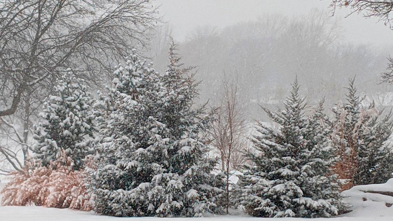 Tormentas de nieve colapsan media Europa; hay cientos de vuelos atrasados y tráfico kilométrico 