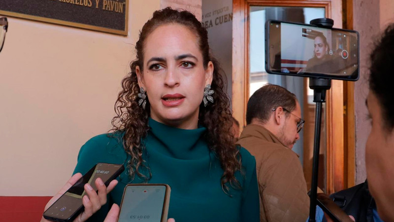 Sandra Arreola llama a dar destino responsable a los árboles navideños 