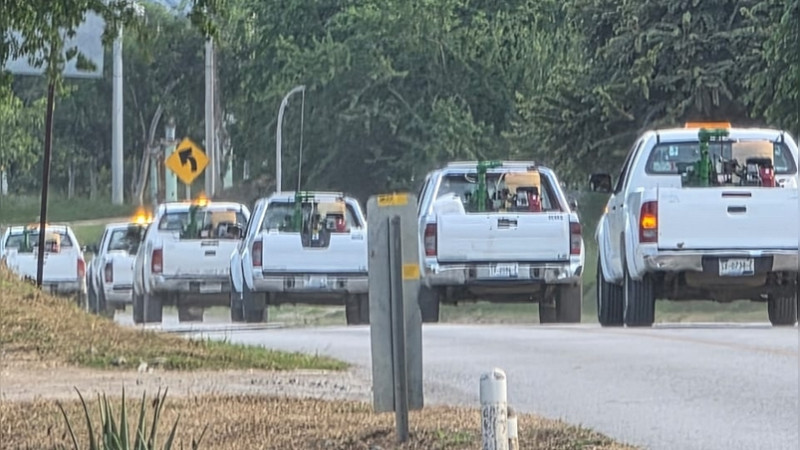 Efectúa SESA acciones de vigilancia epidemiológica contra el dengue 