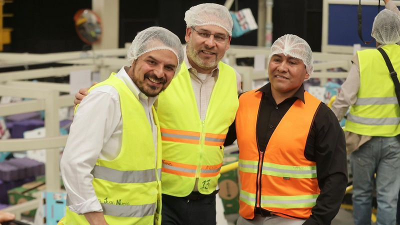 Guardián Forestal frena exportación de 2 mil huertas de aguacate por deforestación: Bedolla 