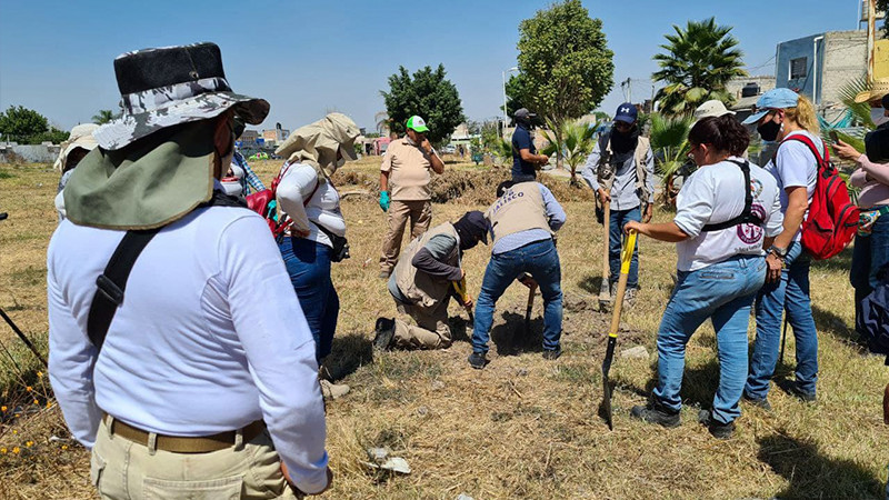 Han sido localizadas 400 fosas clandestinas en Michoacán de 2019 a la fecha; "Corredor de la Muerte" y zonas cercanas a Jalisco, puntos críticos 