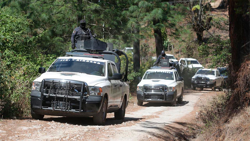 Disminuyen durante el 2025 los delitos patrimoniales en Michoacán: SSP 