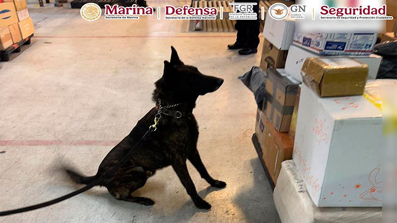 Autoridades federales aseguran sustancias ilícitas en el Aeropuerto Internacional de la Ciudad de México 