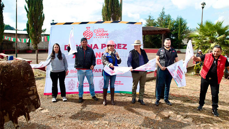 Dayana Pérez Mendoza da arranque a obra de empedrado y alumbrado público en la comunidad Iramuco de Salvador Escalante, Michoacán  