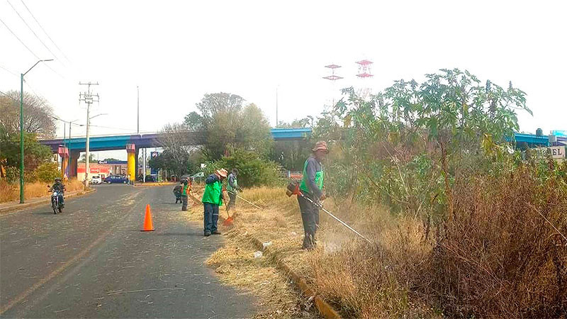 Brigadas de Servicios Públicos refuerzan poda y limpieza en vialidades de Morelia 