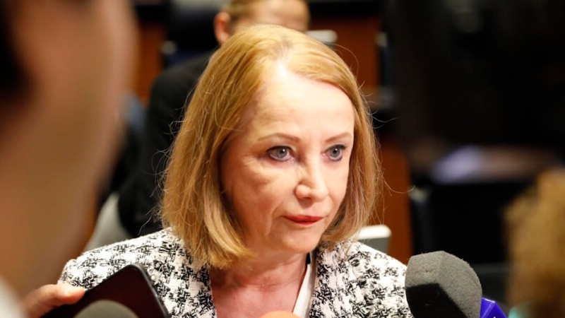 Sin consenso no procederá la Reforma Electoral: presidenta del Senado 