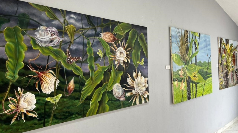 Museo Comunitario de Pinal de Amoles abre sus puertas al artista neerlandés Jasper de Gelder 