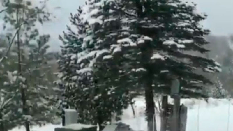 Se mantiene alerta la CNPC ante la tercera tormenta invernal en el país 