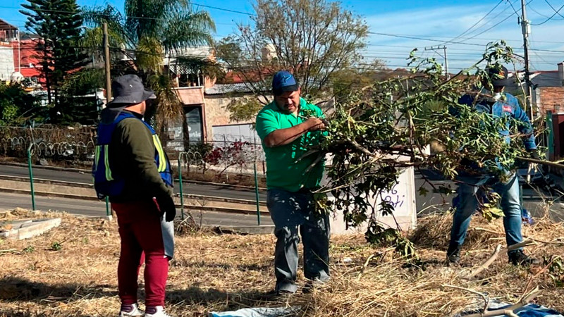 Gobierno de Morelia atiende área verde en Cumbres del Quinceo con jornada integral de mantenimiento 