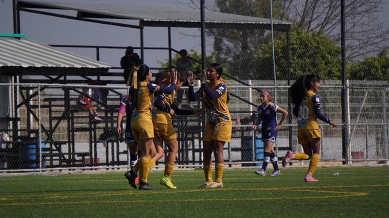 30 de enero, equipos del Atlético Morelia-UMSNH regresan a la actividad de la Liga TDP 