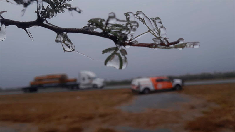 Habrá esquema de clases flexibles en educación básica en Nuevo León, ante el frente frío número 31 