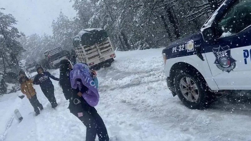Rescatan a cuatro mujeres y dos niños varados por tormenta de nieve en la sierra de Chihuahua 
