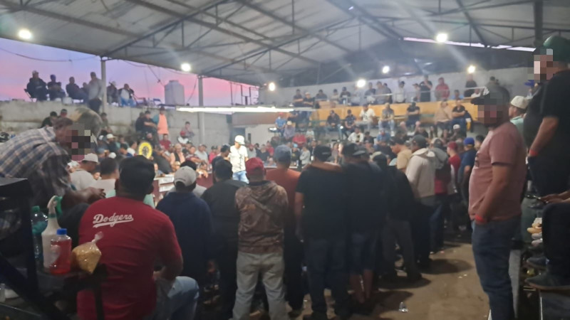 Cae palenque clandestino en Zamora, Michoacán: Más de 250 personas sorprendidas en peleas ilegales de gallos 