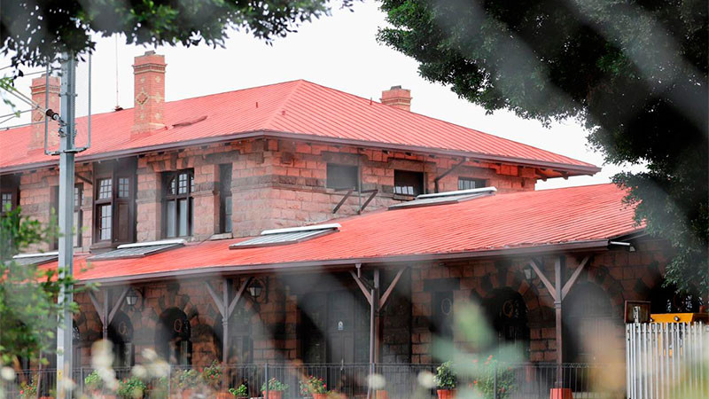 Colectivos ambientalistas exigen que se respete la norma técnica ambiental que regula el manejo de la vegetación ante obras del tren México-Querétaro 