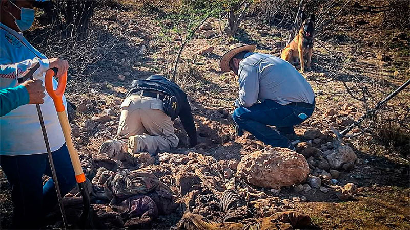 Localiza el Colectivo Desaparecidos Querétaro una fosa clandestina en San Juan del Río 