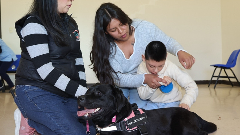 Arrancó el SEDIF con el servicio de caninoterapia en el CRIQ 