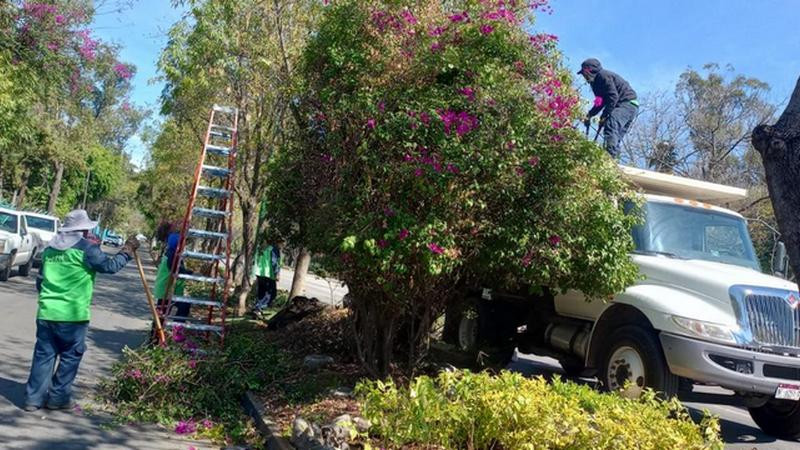 Gobierno Municipal interviene y mejora los espacios públicos de Morelia 