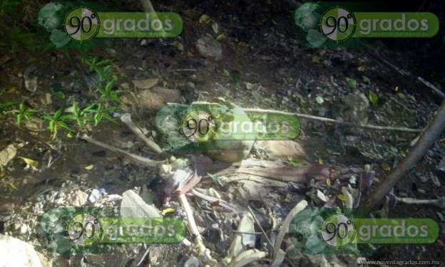 Hallan osamenta de ganadero secuestrado y asesinado en Coahuayana, Michoacán - Foto 1 