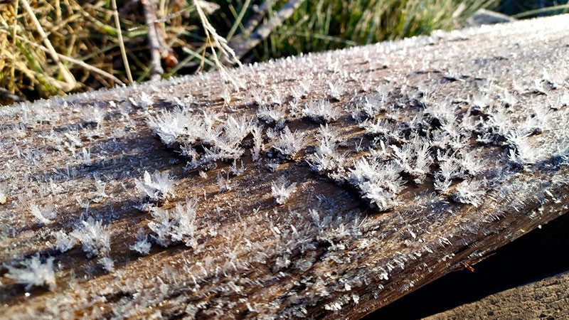 Protección Civil alerta por Frente Frío 32: lluvias fuertes y “norte” intenso amenazan al noreste y oriente del país 