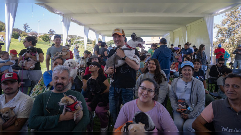 Aprueba el municipio de El Marqués el presupuesto anual destinado para acciones y programas para garantizar el bienestar de los animales 