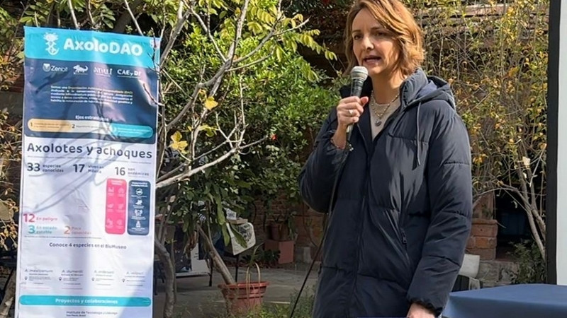 Llama López Birlain a preservar al ajolote, parte de la identidad cultural queretana 