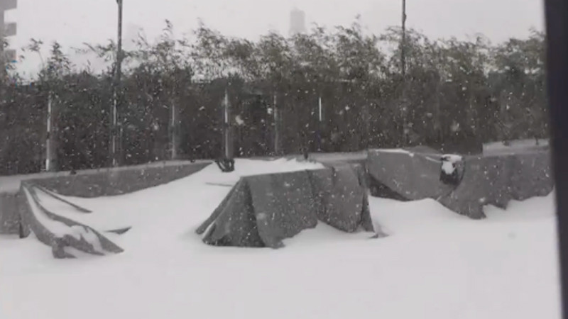 Nueva York registra al menos 14 muertes por ola de frío extremo 