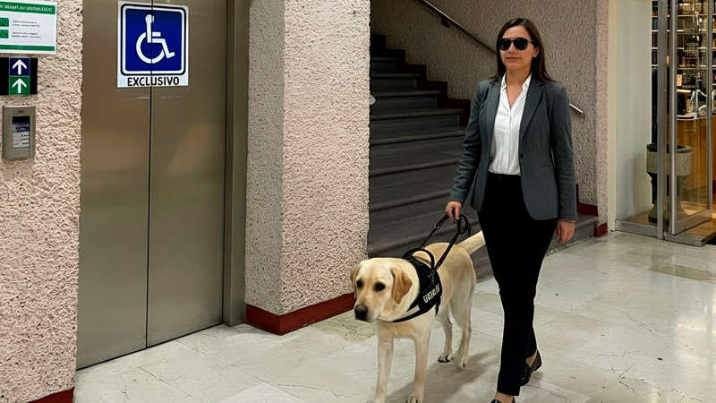 Poder Judicial abre sus puertas a animales de servicio, asistencia y/o terapia que acompañen a personas con discapacidad 
