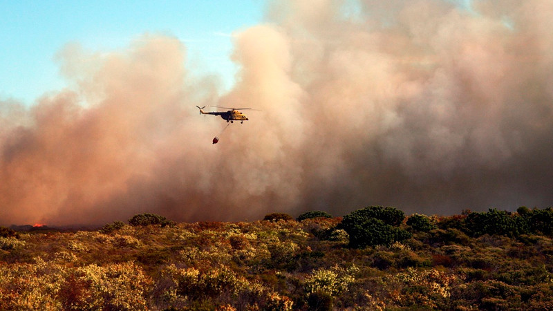 Protección Civil realizará reunión nacional por la temporada de incendios forestales 2026 