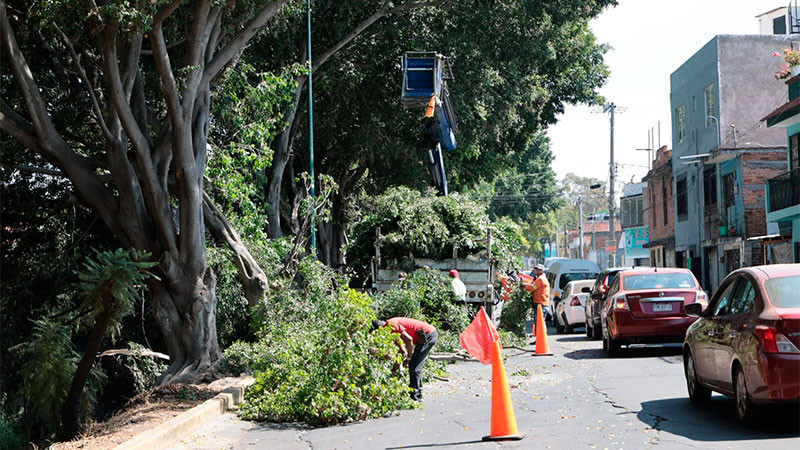 Alfonso Martínez llama a cuidar entre todos los espacios públicos 