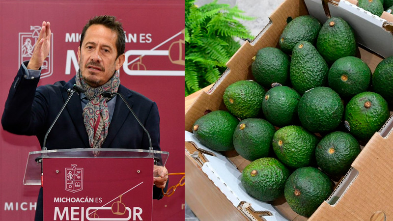 Michoacán va por la protección total de su aguacate: Sedeco 