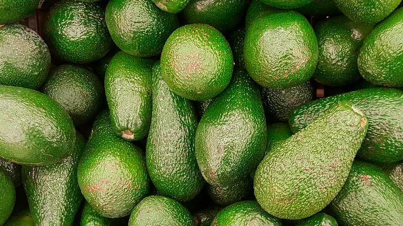 Extorsión se queda con hasta 5% del valor de exportaciones de aguacate: ANPEC 