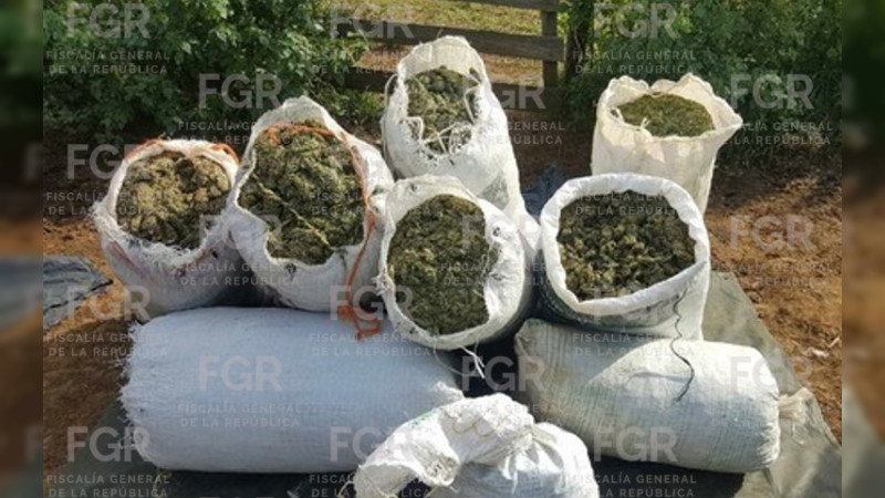 Golpe millonario al crimen en Turicato, Michoacán: Ejército y Guardia Nacional aseguran más de una tonelada de estupefaciente 