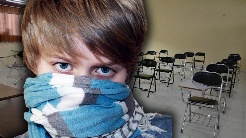 Falta de maestros deja a niños y adolescentes a merced del crimen organizado: CNTE Rosa 