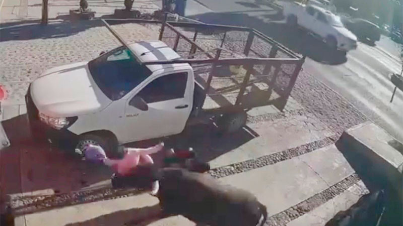 Toro suelto ocasiona lesiones a 6 personas y daños a varios vehículos en Pedro Escobedo, Querétaro 