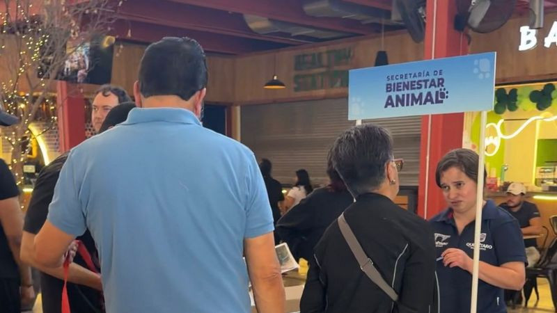Secretaría de Bienestar Animal a disposición de la ciudadanía queretana 