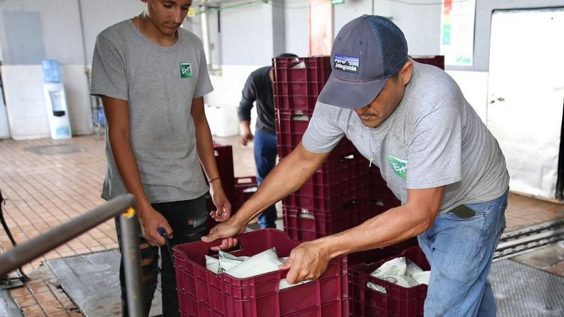 ¡Leche para el Bienestar a solo 7.50 pesos! Michoacán protege la economía de las familias 