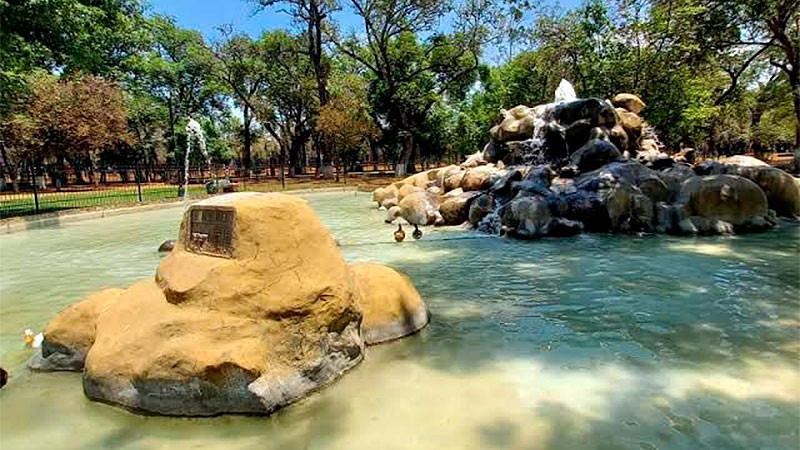 Implementa Ayuntamiento de Morelia acciones de cuidado y protección de fauna en el Bosque Cuauhtémoc 