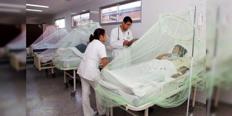 En alerta autoridades de la SSM ante posibles casos de Mayaro y Fiebre Amarilla 
