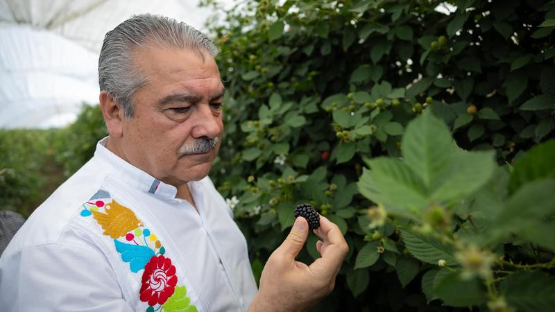 Firme Morón en su compromiso por impulsar el campo michoacano 