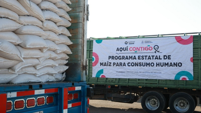 Entrega SEDEA maíz para consumo humano en El Marqués 