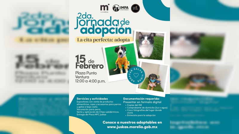 El Impa invita a la 2ª Jornada de Adopción animal, este fin de semana 